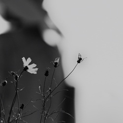 dailyPhoto25