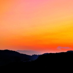 dailyPhoto31