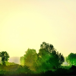 dailyPhoto19