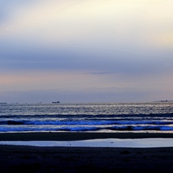 dailyPhoto4