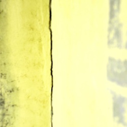 dailyPhoto11