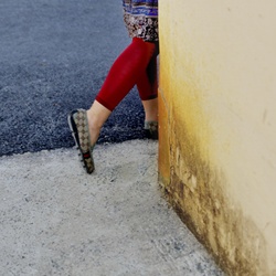 dailyPhoto12
