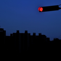 dailyPhoto19