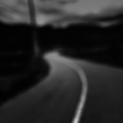 dailyPhoto5