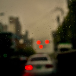 dailyPhoto20