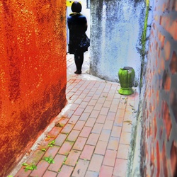 dailyPhoto34