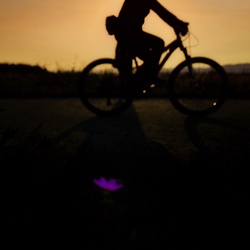 dailyPhoto30