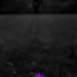 dailyPhoto5
