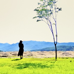 dailyPhoto7