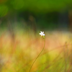 dailyPhoto32
