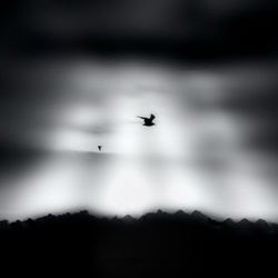 dailyPhoto9