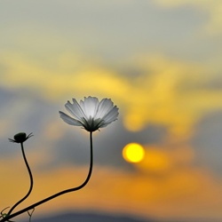 dailyPhoto23