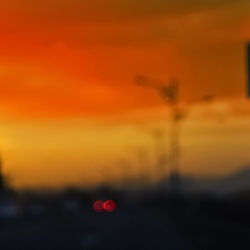 dailyPhoto1