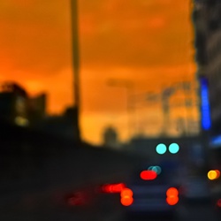 dailyPhoto14