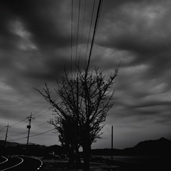 dailyPhoto26