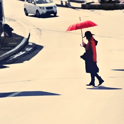 dailyPhoto22
