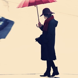 dailyPhoto1