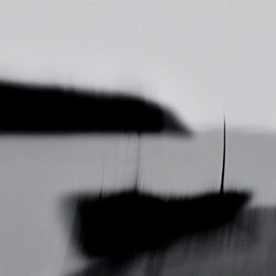 dailyPhoto36