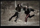 dailyPhoto8