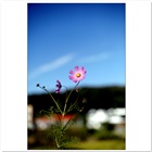 dailyPhoto30