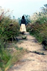 dailyPhoto8