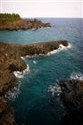 dailyPhoto7