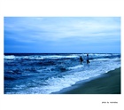dailyPhoto5