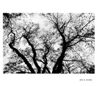 dailyPhoto29