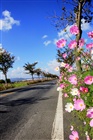 dailyPhoto1