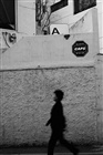 dailyPhoto2