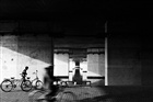 dailyPhoto7