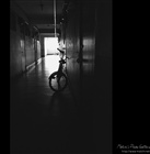 dailyPhoto14