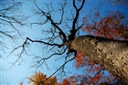 dailyPhoto14