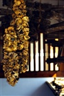 dailyPhoto4