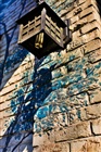 dailyPhoto23