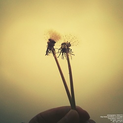 dailyPhoto24