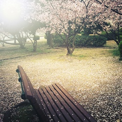 dailyPhoto17