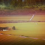 dailyPhoto34