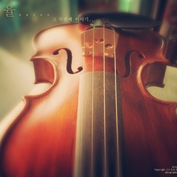 dailyPhoto2