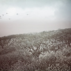 dailyPhoto39