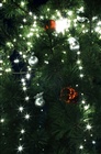 dailyPhoto35