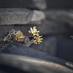 dailyPhoto19