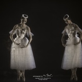 dailyPhoto12