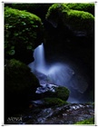 dailyPhoto5