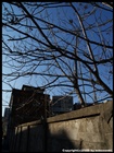 dailyPhoto7