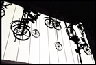 dailyPhoto31