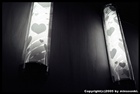 dailyPhoto19
