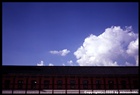 dailyPhoto39