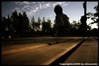 dailyPhoto3