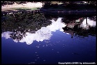dailyPhoto17